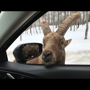 Meet your Posher, Renata